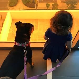 Meet your Posher, Marcia